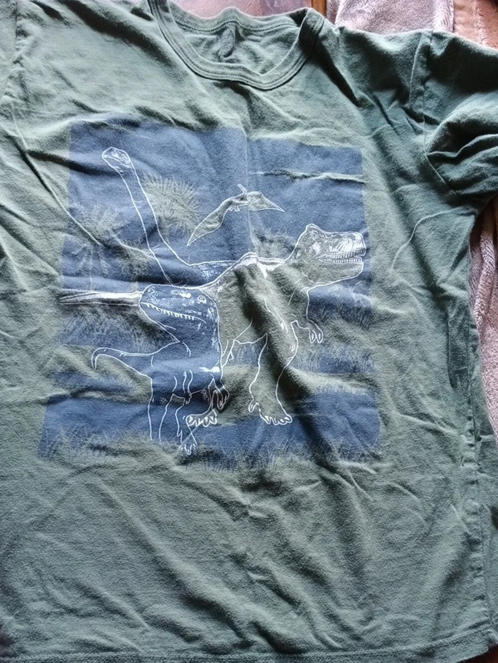 The Children's Place Three Tees with Blue & Green Dinosaur Graphic